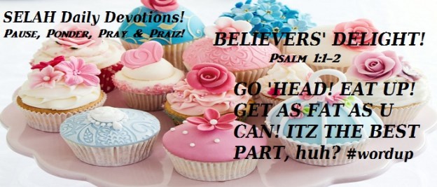 THE BELIEVERS' DELIGHT