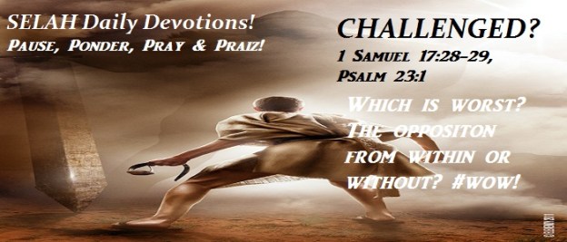 Goliath meets his match