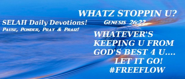 Copyright - ©  Mike Grandmaison