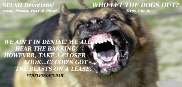 WHO LET THE DOGS OUT